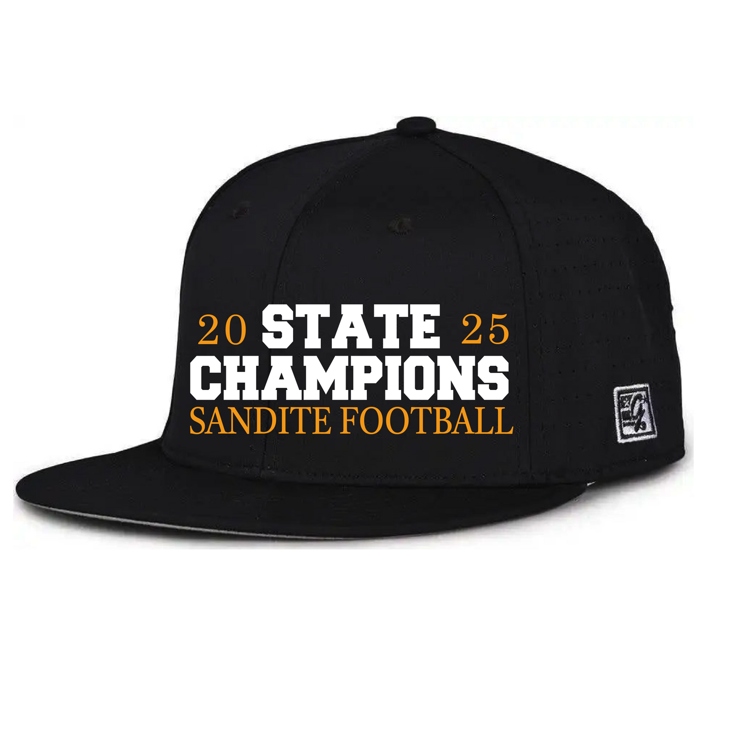 STATE CHAMPION FITTED EMBROIDERED HAT
