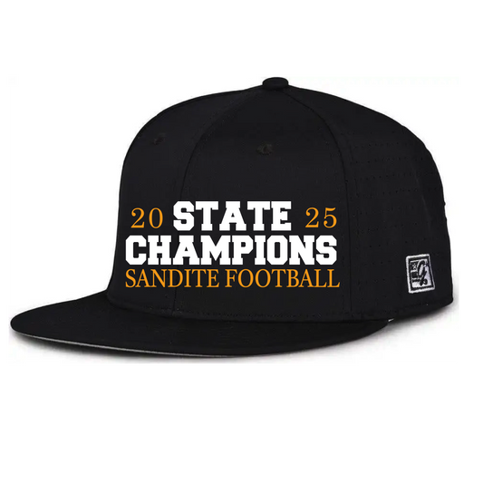 STATE CHAMPION FITTED EMBROIDERED HAT