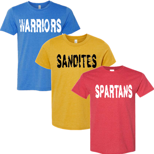 Custom Distressed Spirit Tee